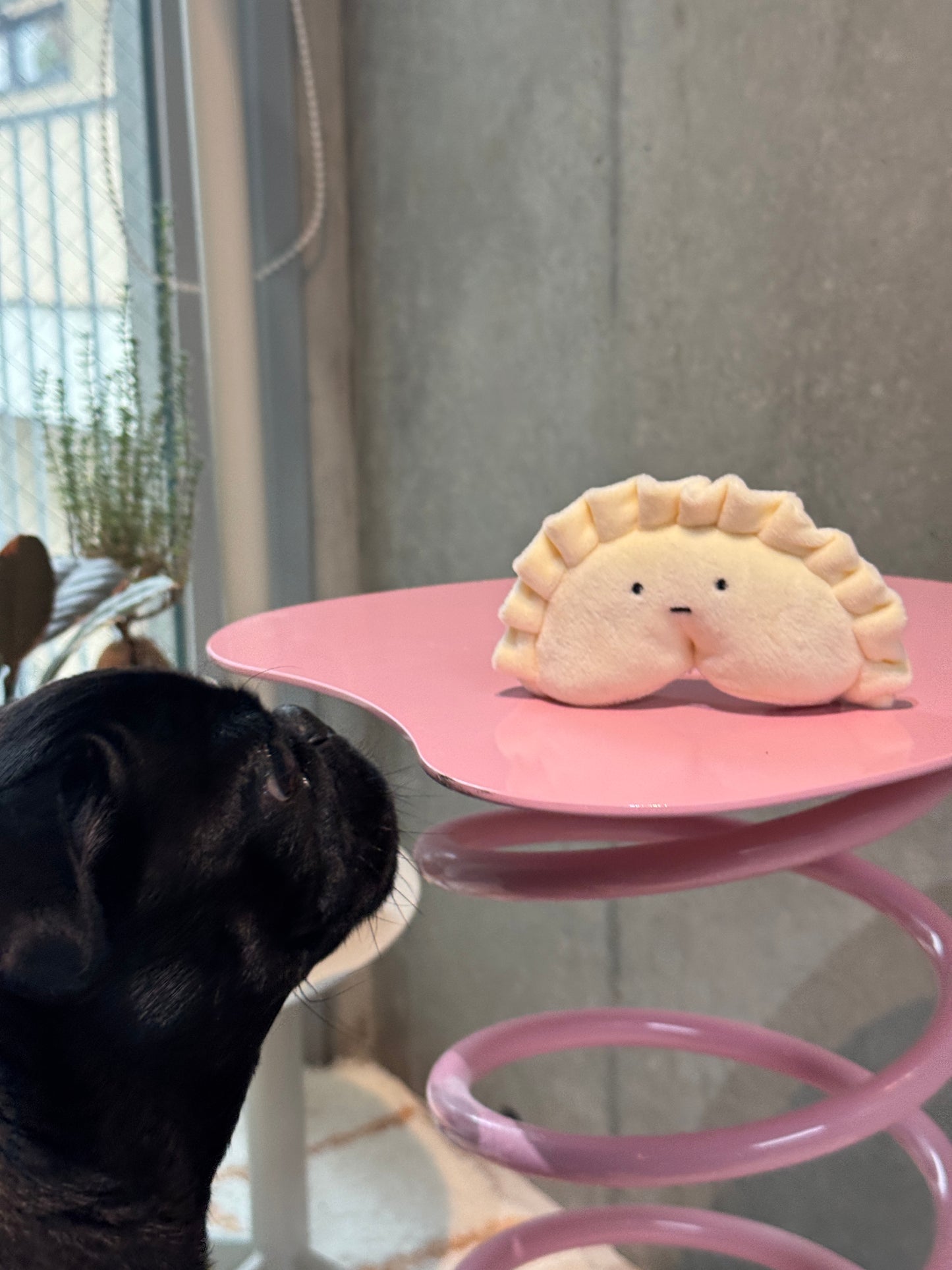 【Petbone】ノーズワーク餃子トイ(スクィーク入り)