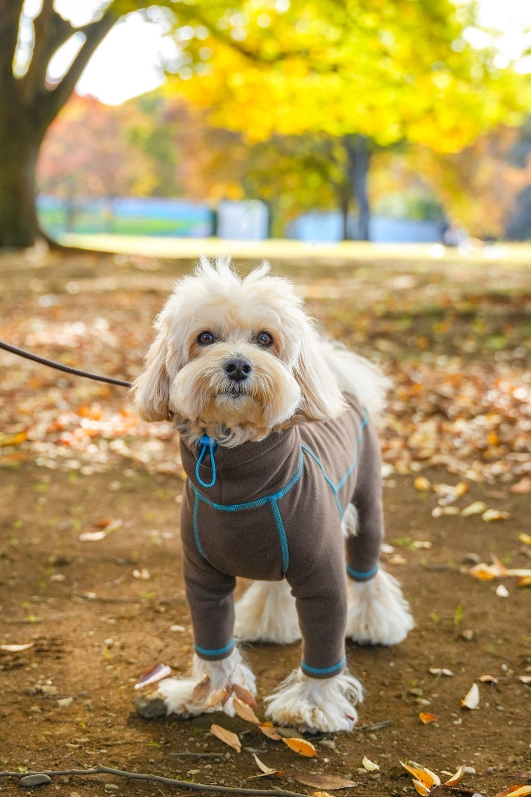 【iCANDOR】POLAR TWEED スヌードスーツ