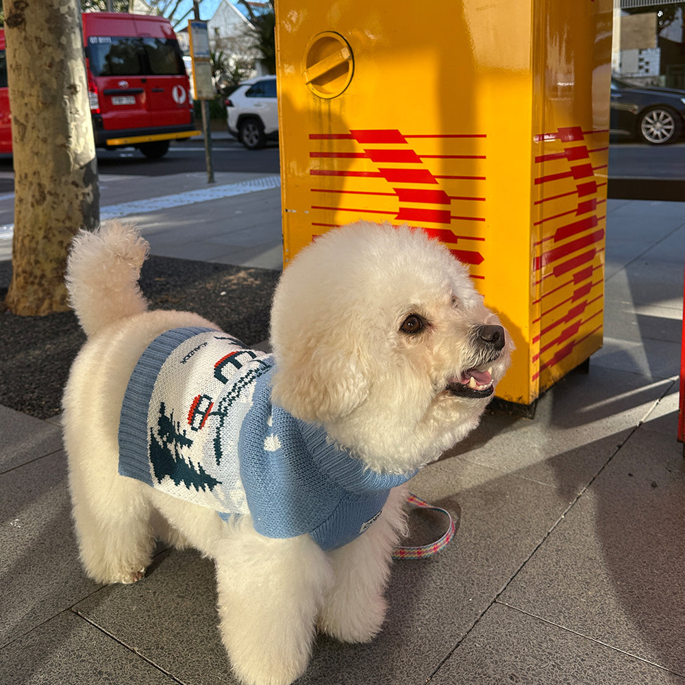 【iCANDOR】ASPEN WOOLIES ASPEN ニット