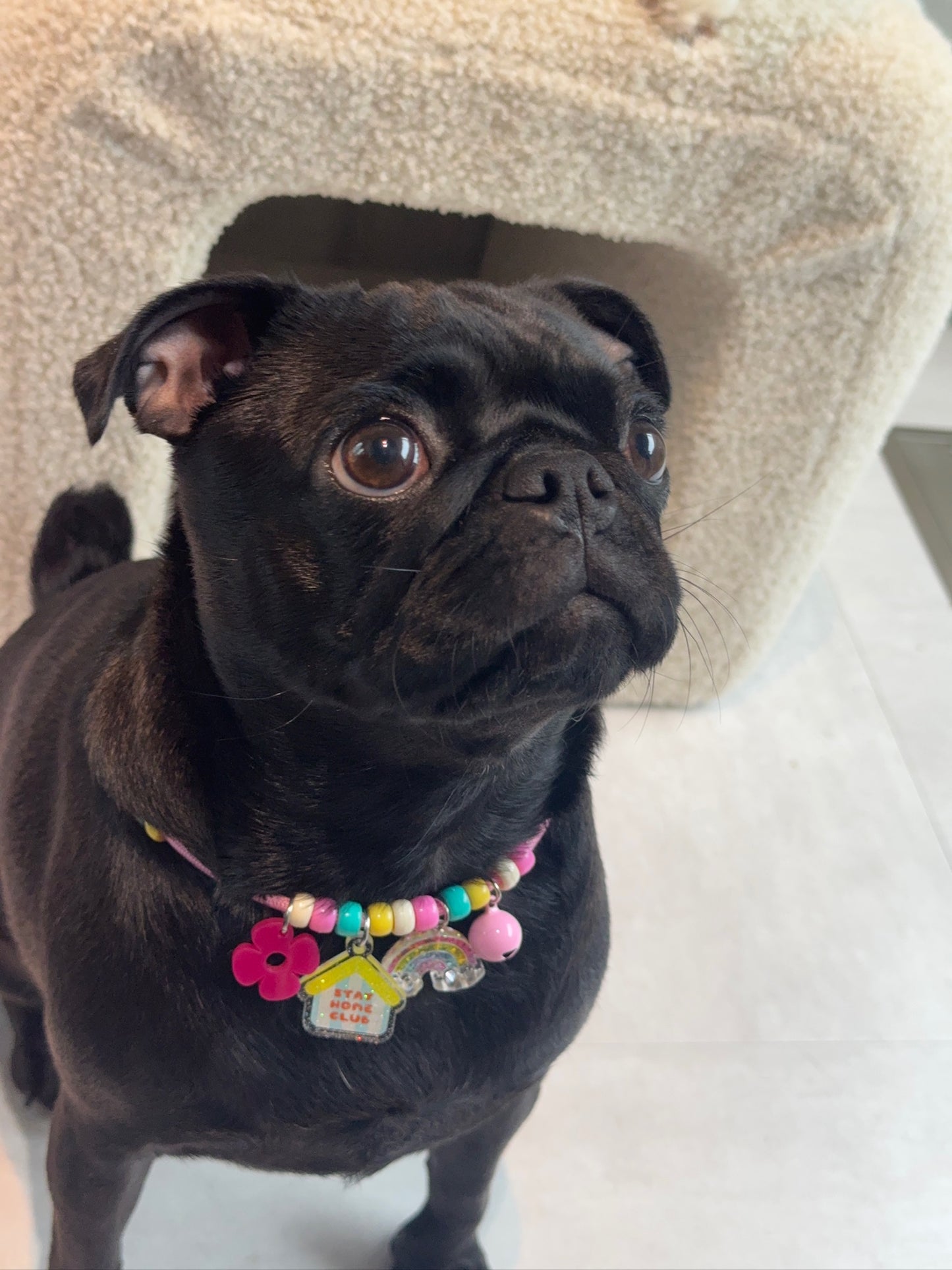 Sサイズ (20cm-28cm)