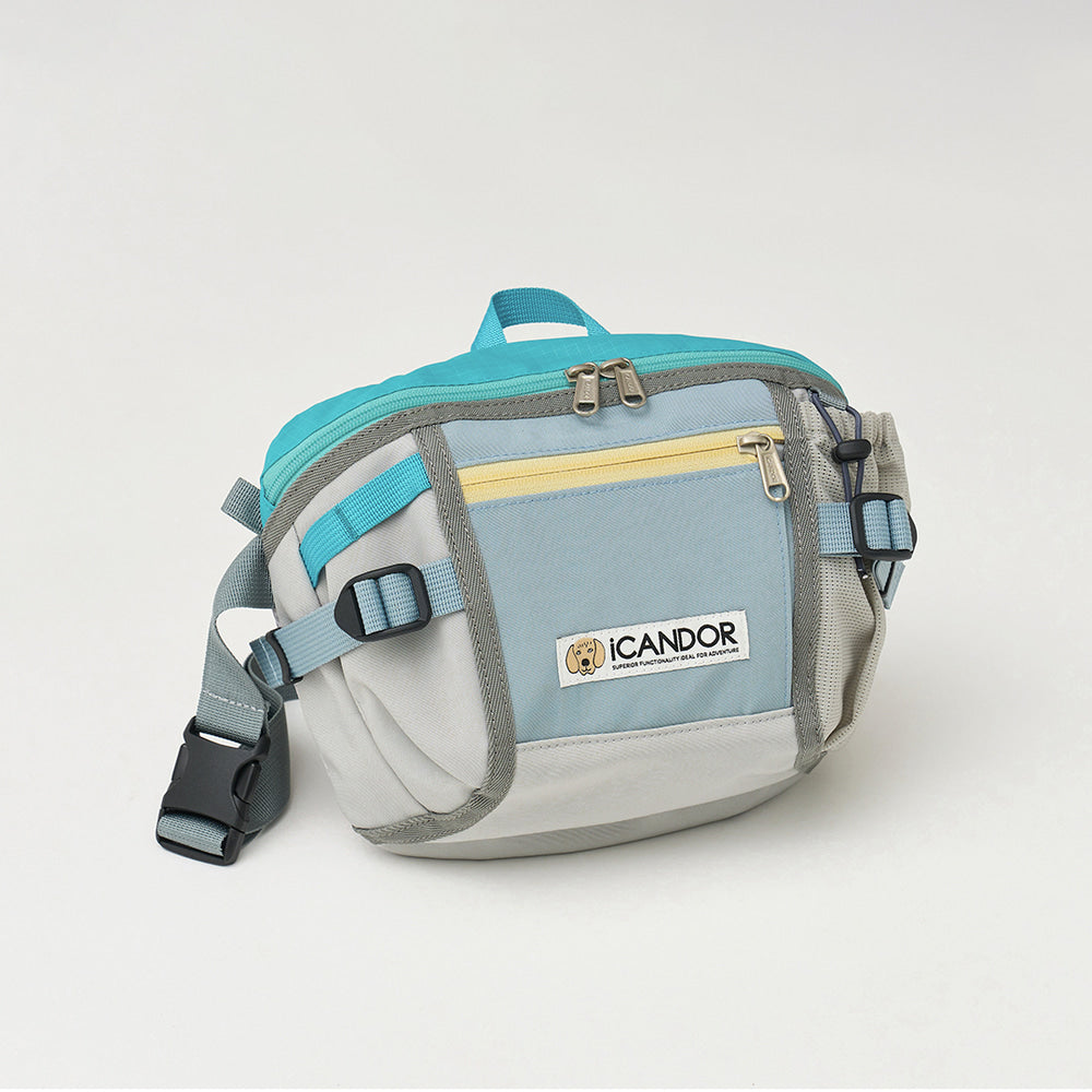 【iCANDOR】Urban Explorer お散歩バッグ