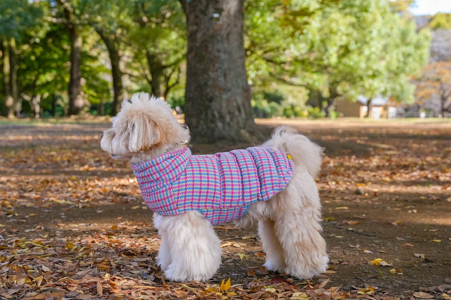 【iCANDOR】  Edinburgh Check ダウン