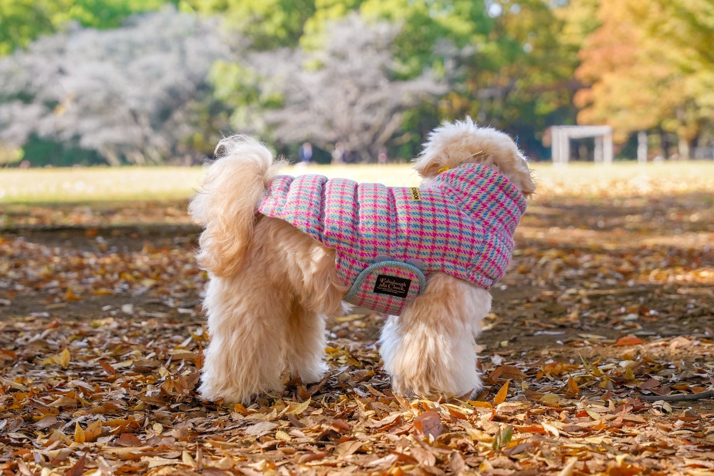 【iCANDOR】  Edinburgh Check ダウン