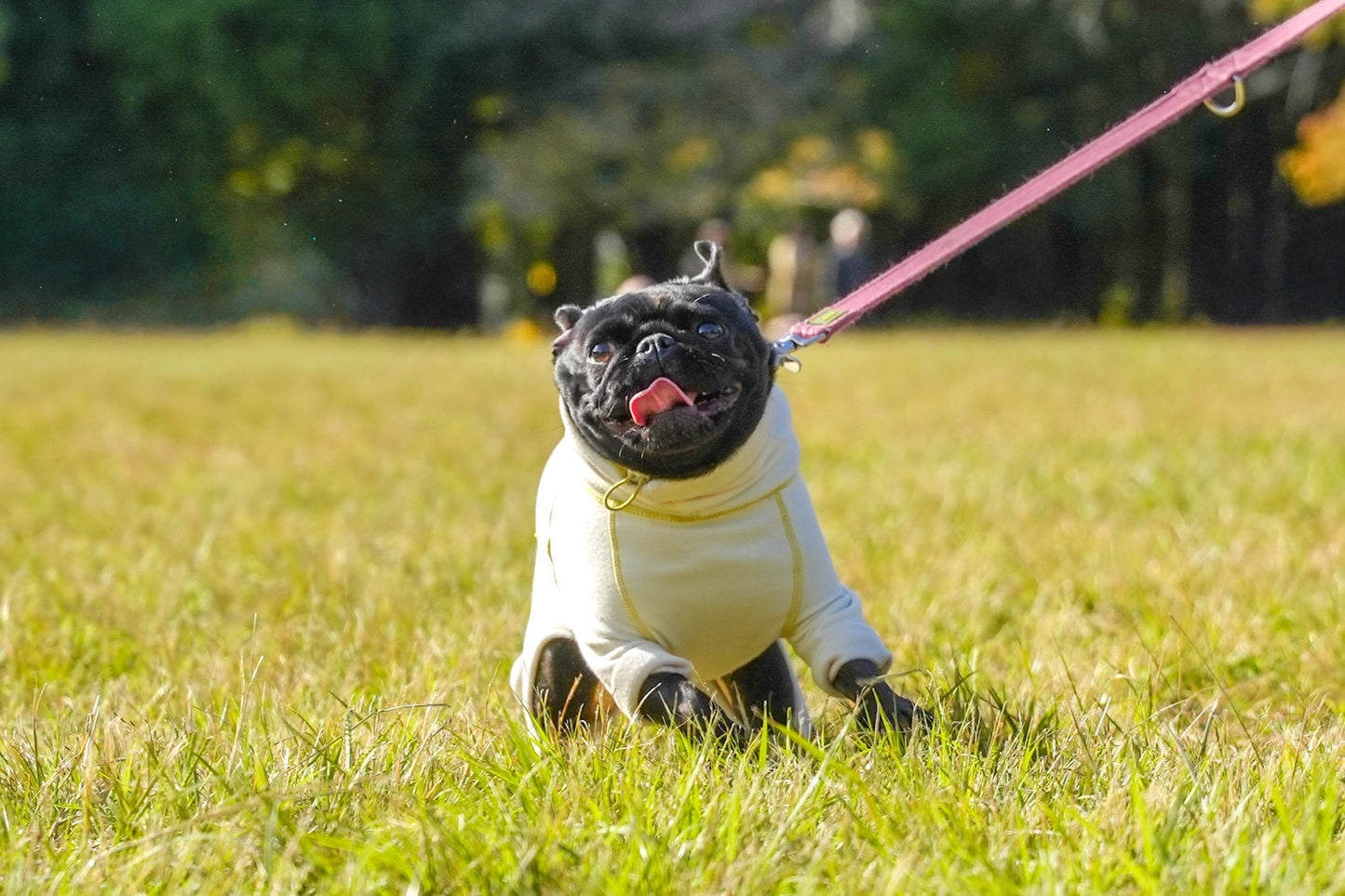 【iCANDOR】POLAR TWEED スヌードスーツ