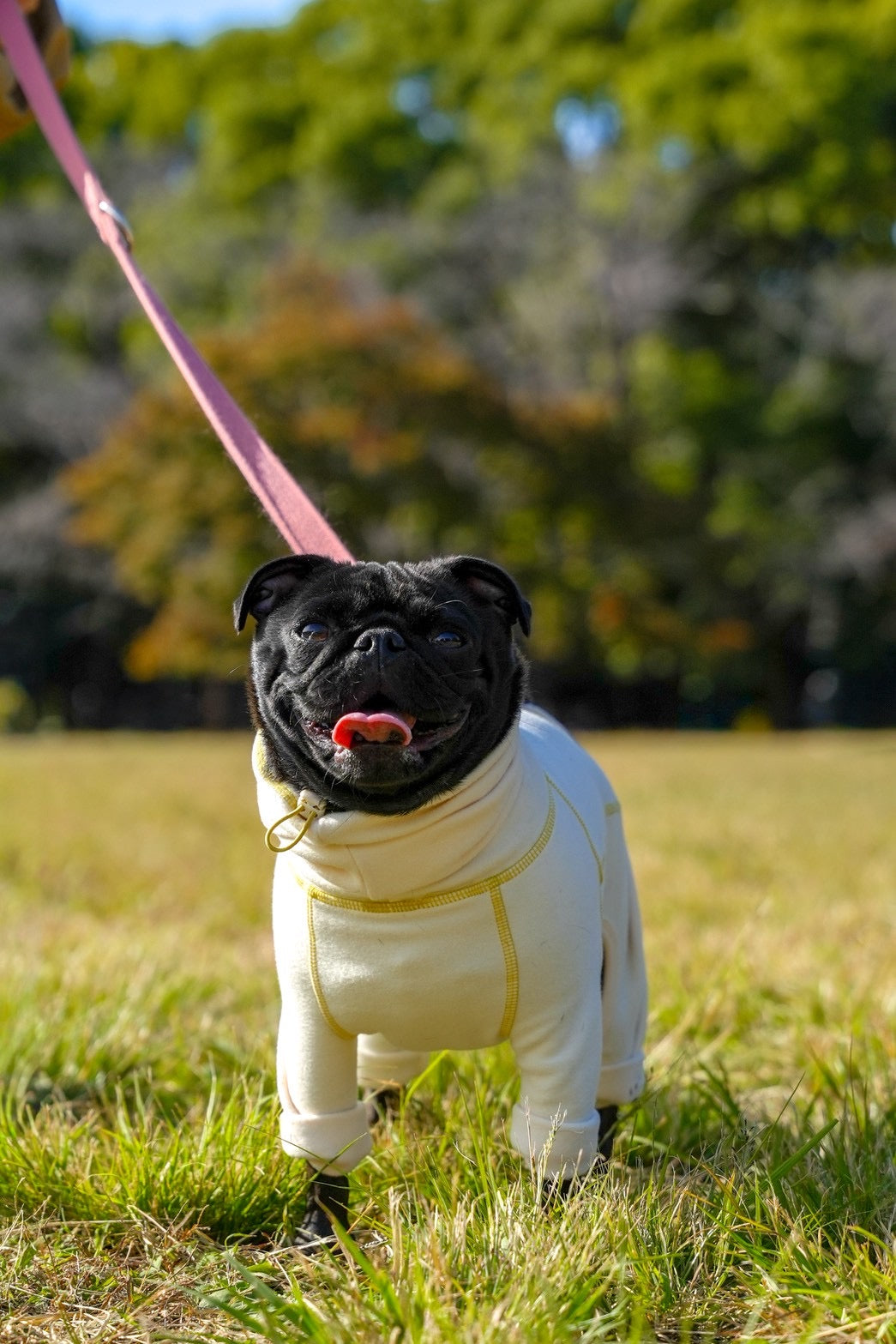 【iCANDOR】POLAR TWEED スヌードスーツ