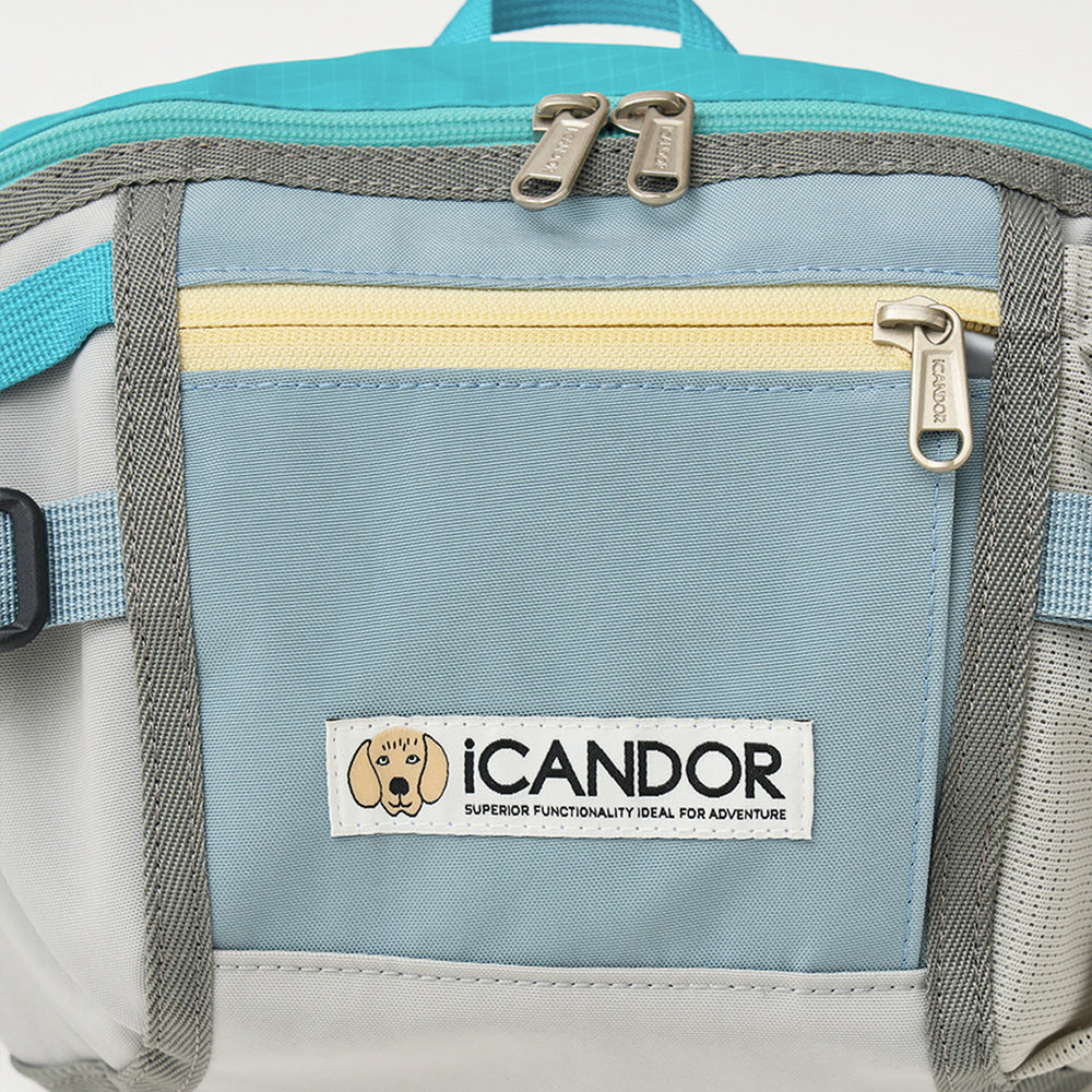 【iCANDOR】Urban Explorer お散歩バッグ