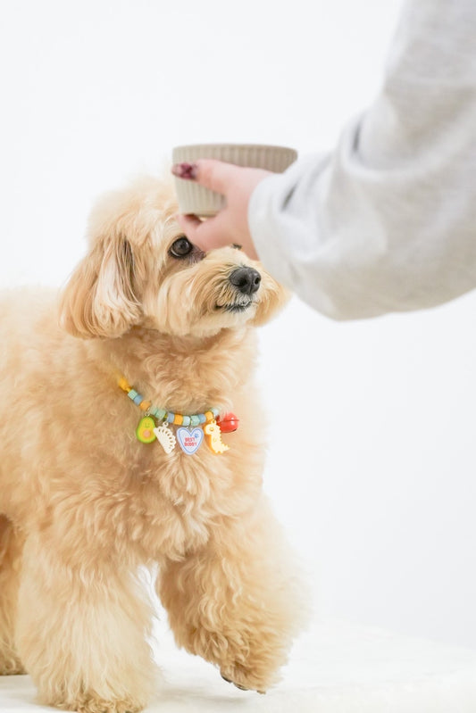 Lサイズ (33cm-50cm)