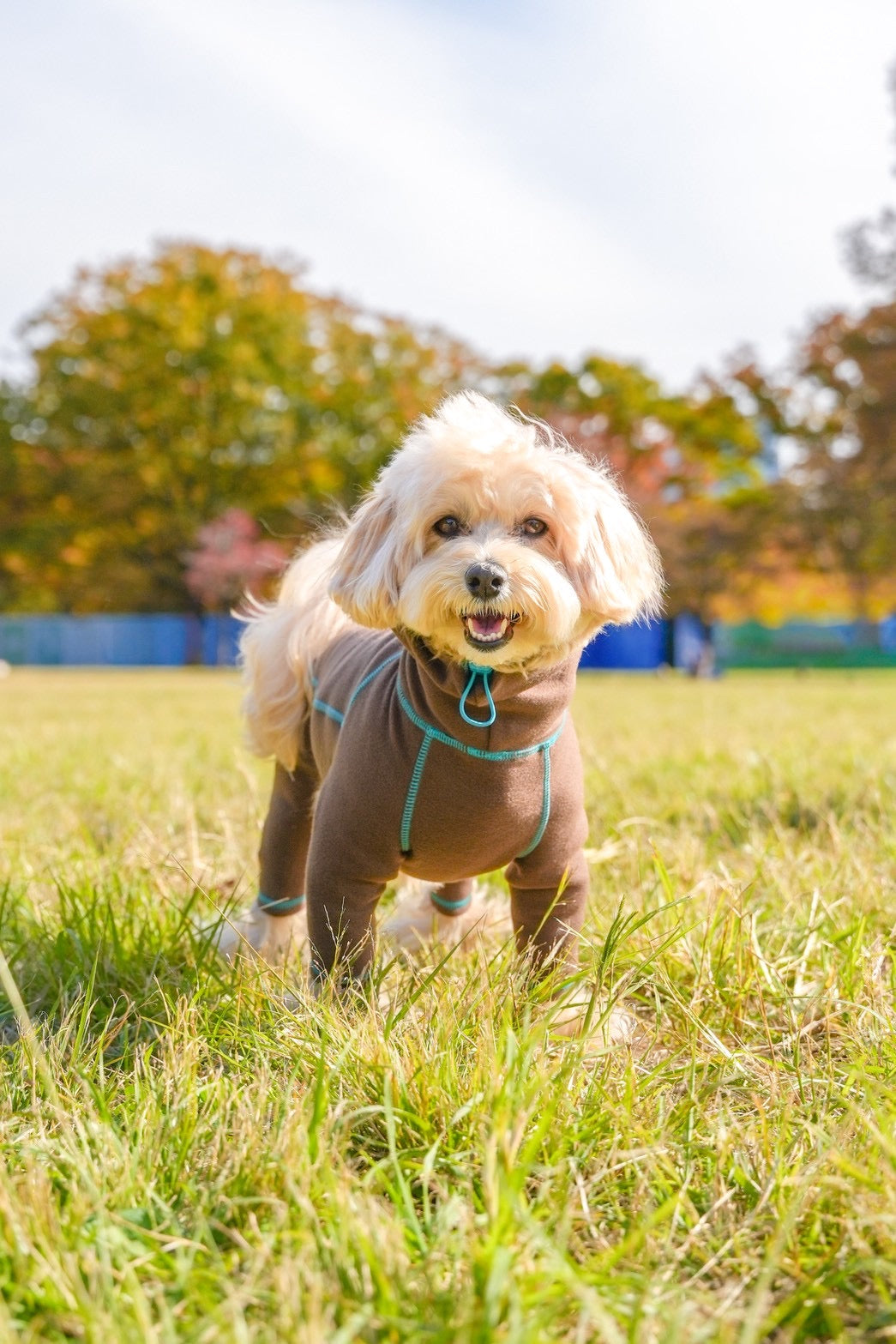 【iCANDOR】POLAR TWEED スヌードスーツ