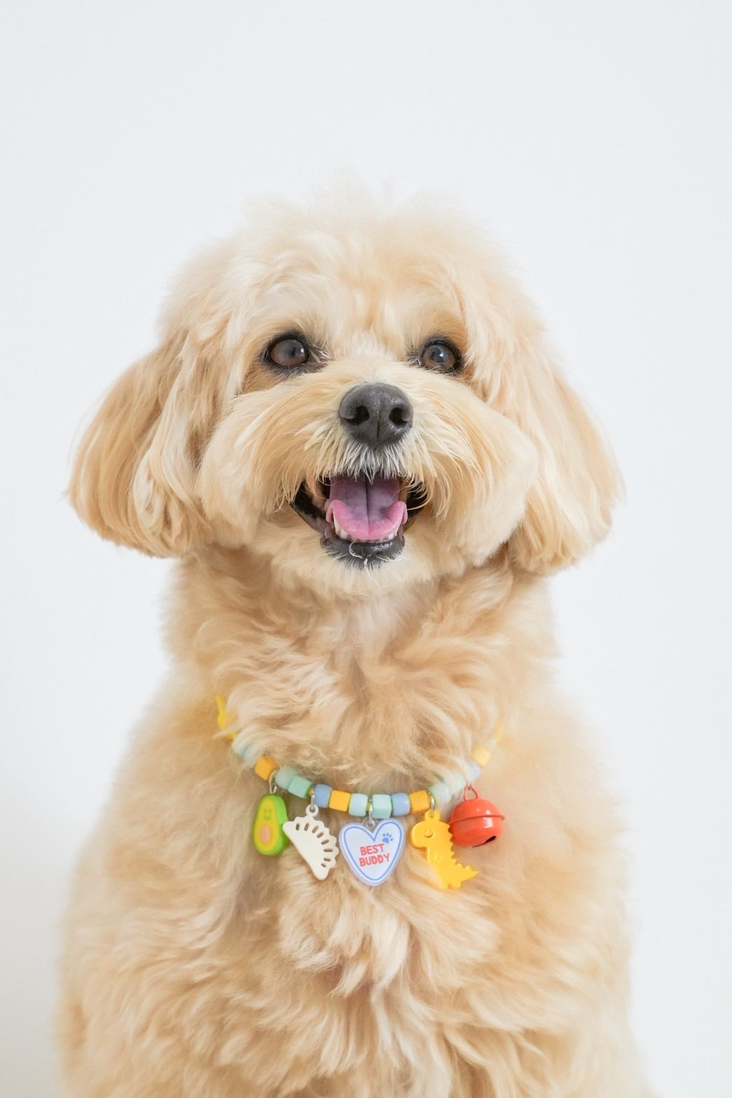 Sサイズ (20cm-28cm)