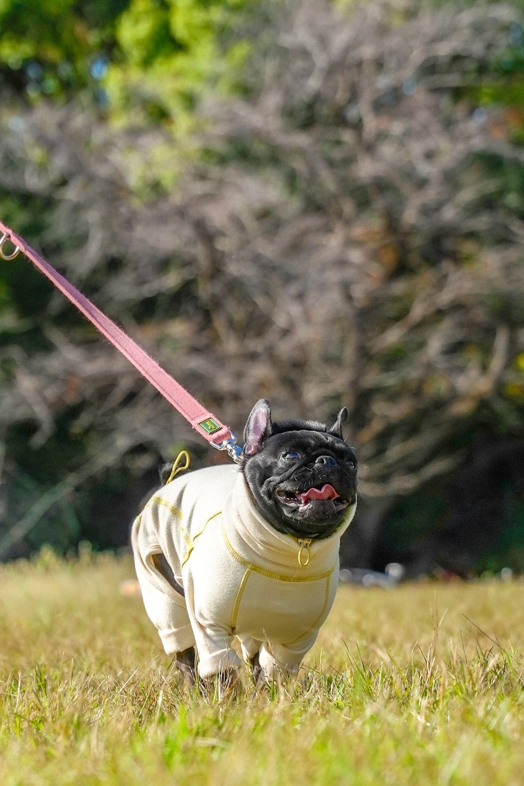 【iCANDOR】POLAR TWEED スヌードスーツ