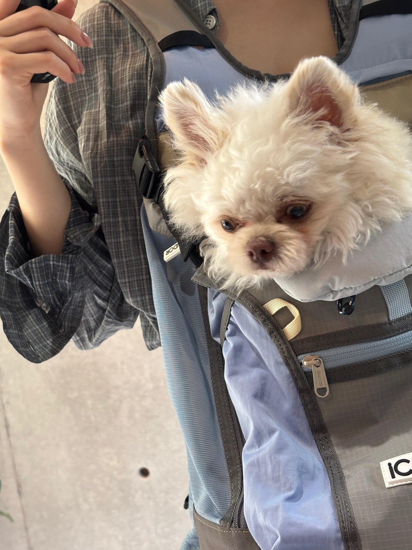 【iCANDOR】JIGE AB BAG