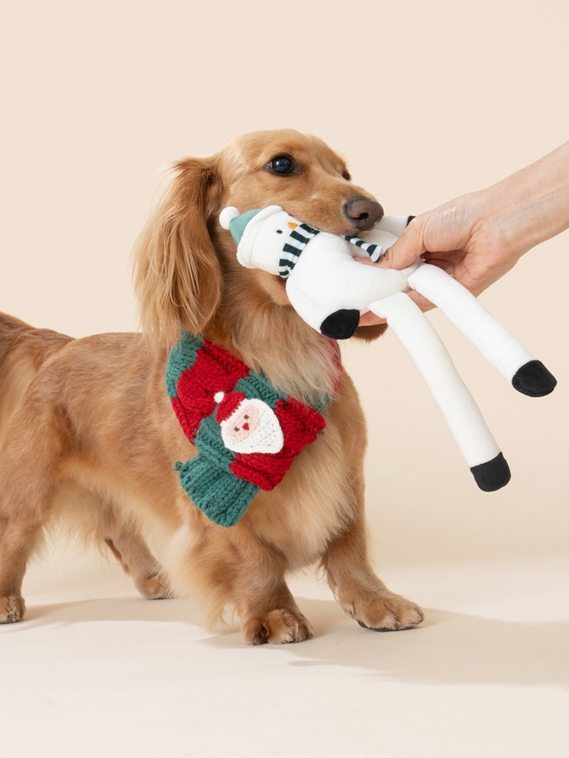 【Petbone】クリスマスロングトイ　スノーマン