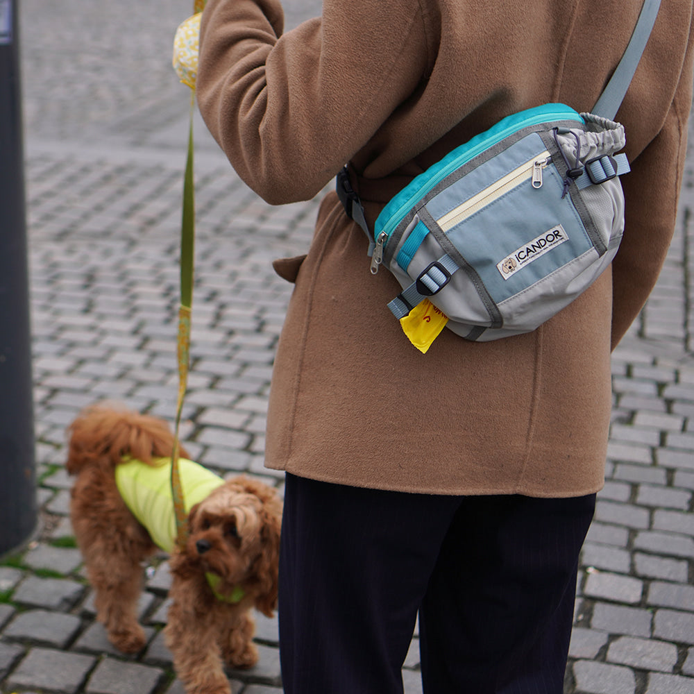 ICANDOR 多ポケットショルダーバッグ iCANDOR】Urban Explorer お散歩バッグ – twist for dogs